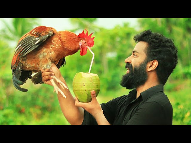 Primitive Technology - COCONUT CHICKEN - Cooking Skill | M4 TECH VLOG |