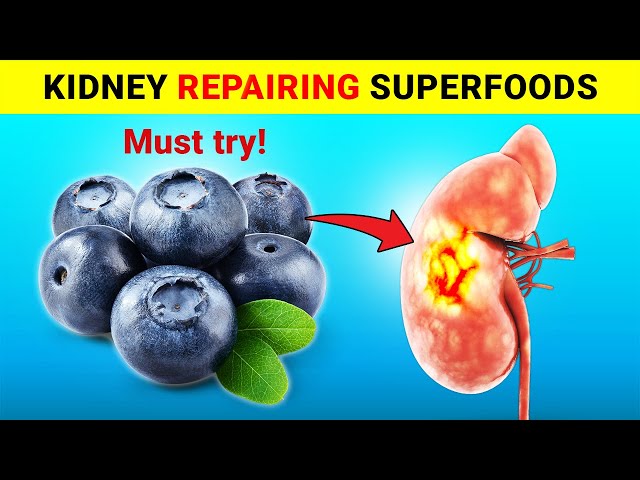 Top 8 Superfoods to Heal Your Kidneys and Lower Blood Creatinine