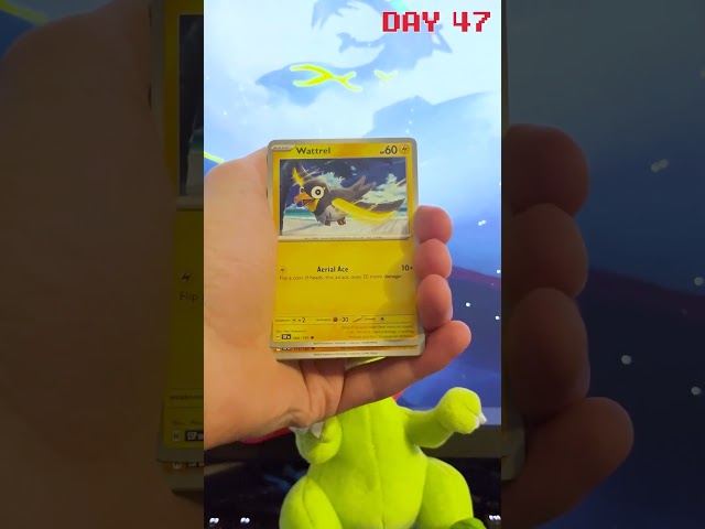 SURGING SPARKS Time! - Pack of the Day 47 - #pokemontcg #pokemon #surgingsparks