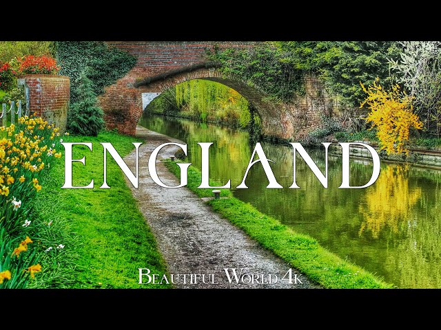 England 4K - Explore Daffodil Fields, Enchanting Gardens and Rolling Hills - Peaceful Piano