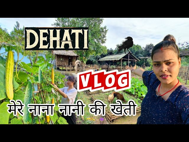 गांव का देहाती vlog // India to America vlog // family vlog arya 🎉 #shorts #vlog  #dehativlog