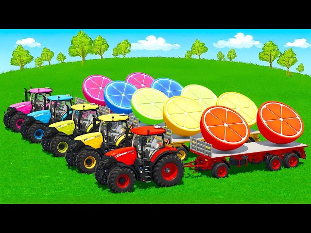 LOAD AND TRANSPORT GIANT ORANGE SLICES WITH CASE TRACTORS -  Farming Simulator 25