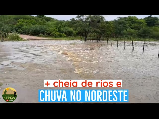 Chuvas Intensas no Nordeste e riachos e Rios botando água v162