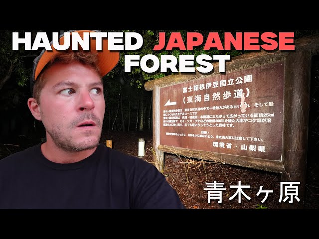 THE MOST TERRIFYING NIGHT OF MY LIFE ALONE IN HAUNTED JAPANESE FOREST | AOKIGAHARA 青木ヶ原 FULL MOVIE