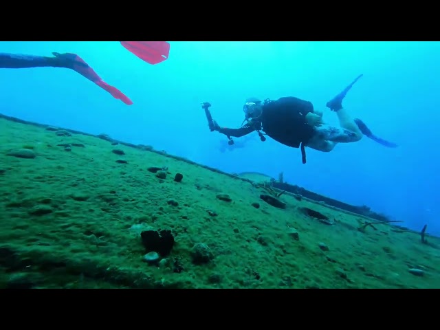 Wreck Dive in Roatan July 2022