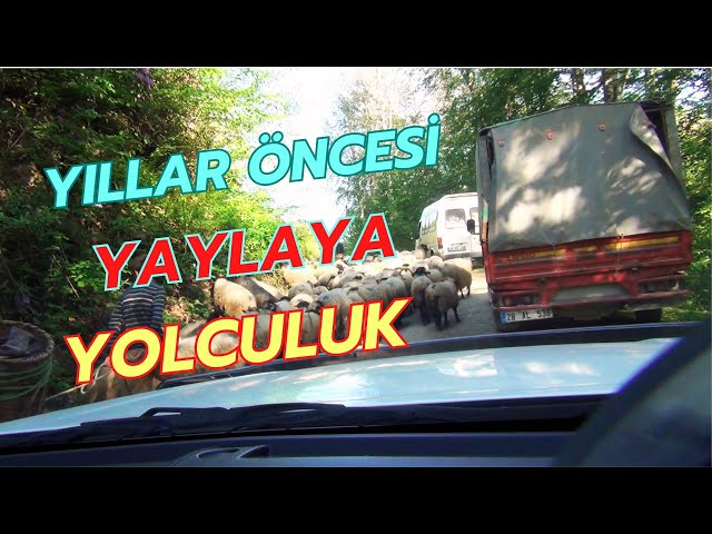 Yıllar Öncesi 2010 Yılına Ait Yağlıdere Yaylaları-1🌲. 4k. HDR