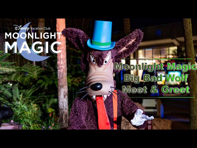 8K DVC Moonlight Magic Big Bad Wolf Dance Meet and Greet VR180 3D