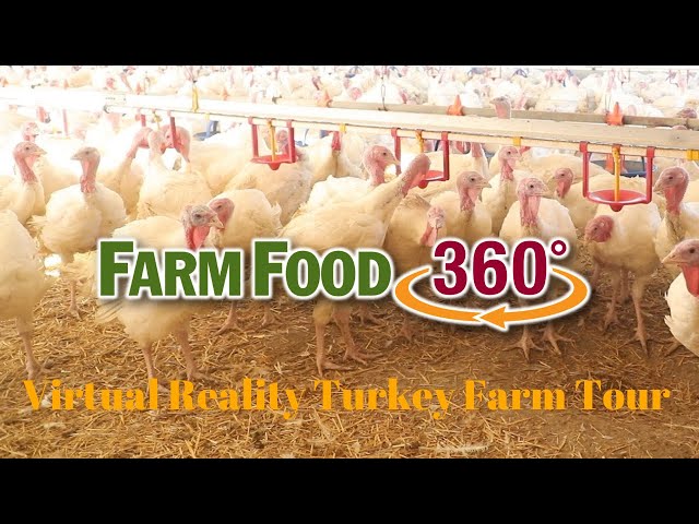 FarmFood360° – Virtual Reality Turkey Farm Tour