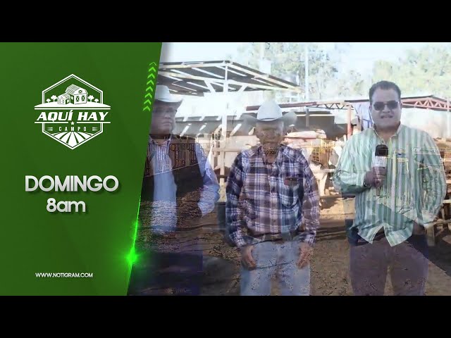 AQUÍ HAY CAMPO - La producción de leche en Durango