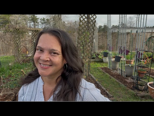 Saturday Clean, Radish Harvest, Rose Propagation, Potato Seeds & Asparagus