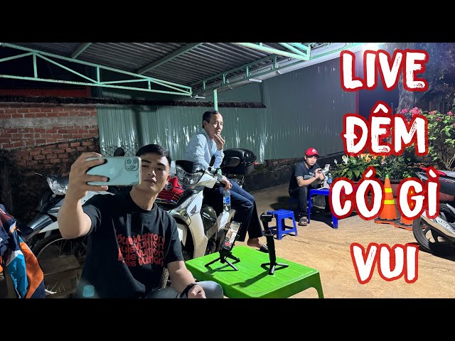 trực tiếp! live đêm có gì vui