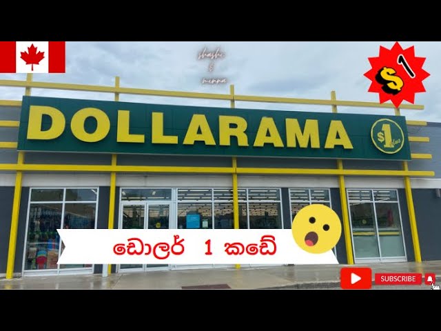 ඩොලර් 1 කඩේ | Cheapest store in Canada | Dollarama Shopping Vlog | Sinhala Vlogs