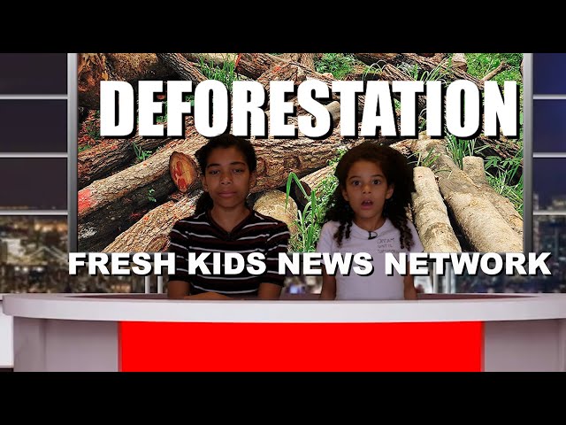 What is Deforestation? Brought to you by The Fresh Kids News Network...Deforestation for kids