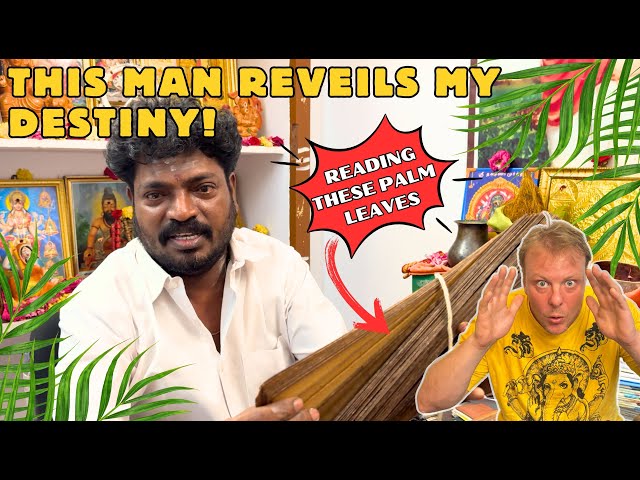 My destiny in a palm leaf | Nadi astrology revealed | audio in Hindi