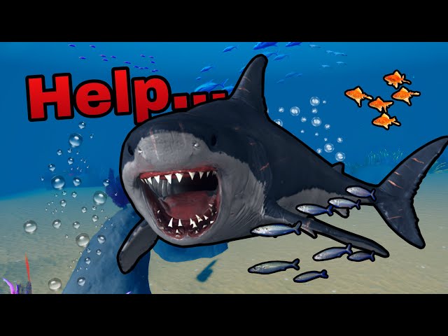 Send HELP This MEGALODON Is CRAZY On Roblox Sharkbite!