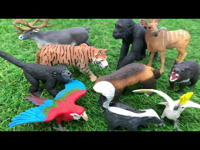 Learn to Count 1 to 10 with Toy Zoo Animals for Kids | Pinoy Kids Channel