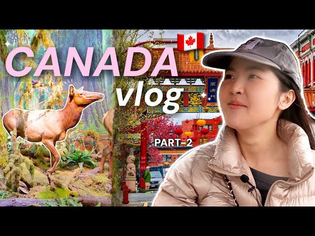 Canada Vlog | Royal bc museum, chinatown, victoria bc ➡️seattle