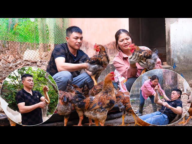 The difficulties of policeman and mute bride when building a new life, Policeman attacked by a snake