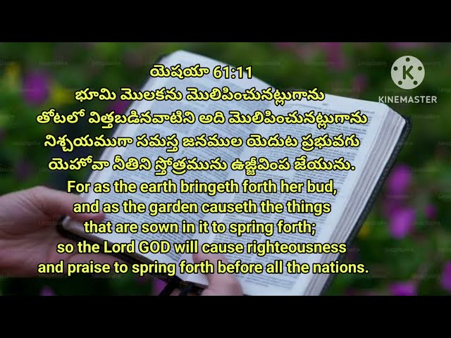 Word of God/Daily Bible promises in Telugu and English/Today's Bible promise/Bible