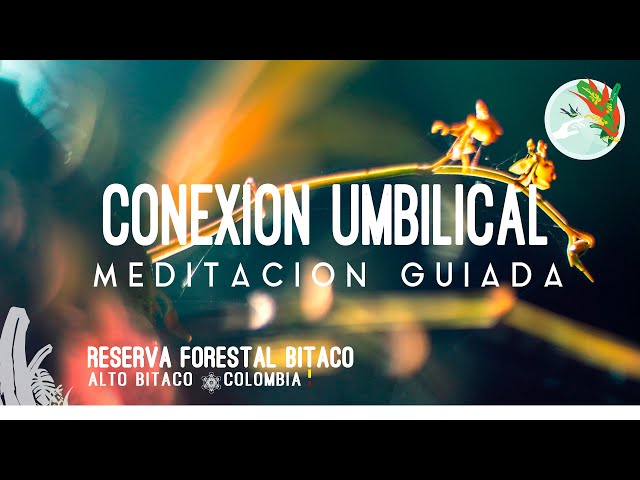 CONEXIÓN UMBILICAL CON LA TIERRA | VISUALIZACIÓN Y EJERCICIOS ENERGÉTICOS | MEDITACIÓN