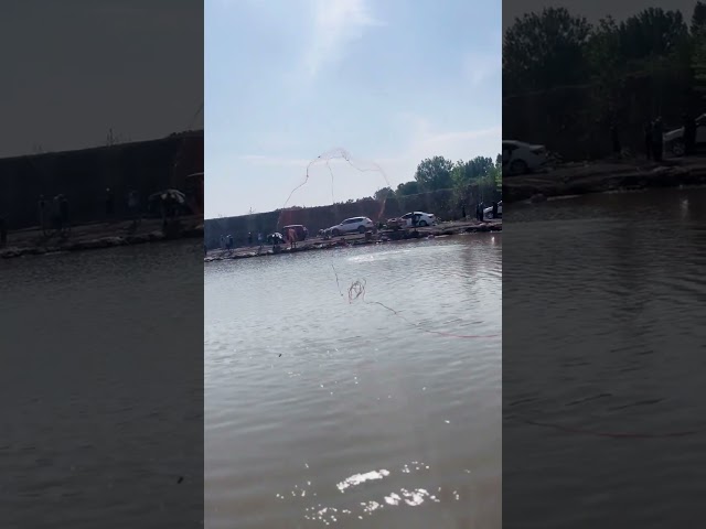 hand net fishing in river #fishing #fish #net #cast #video