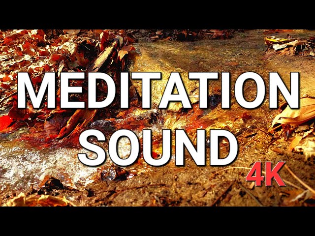 4K Relaxing Nature Sounds ForestRiver-Sleep Relaxation-Sound ofWater