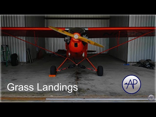 Flying Florida - Grass Landings Vlog