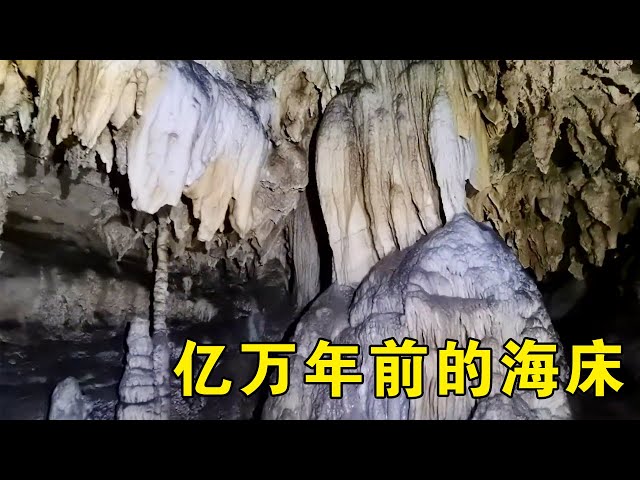 Exploring the karst caves in the deep mountains of Guizhou, a rare geological wonder