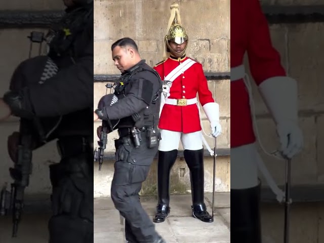 Armed Policeman protects the King’s Guard, #shorts