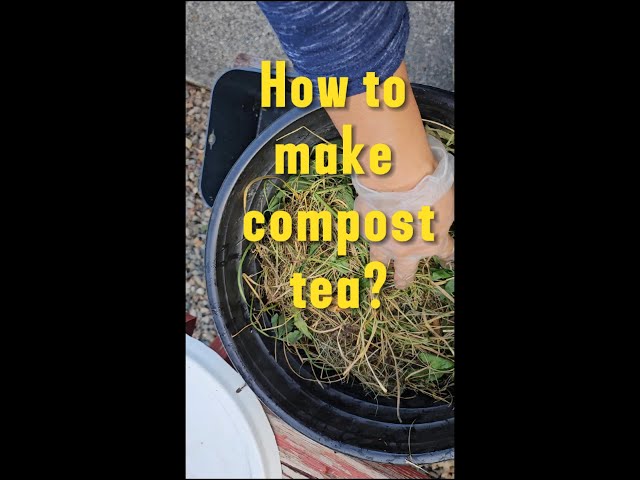 Compost tea