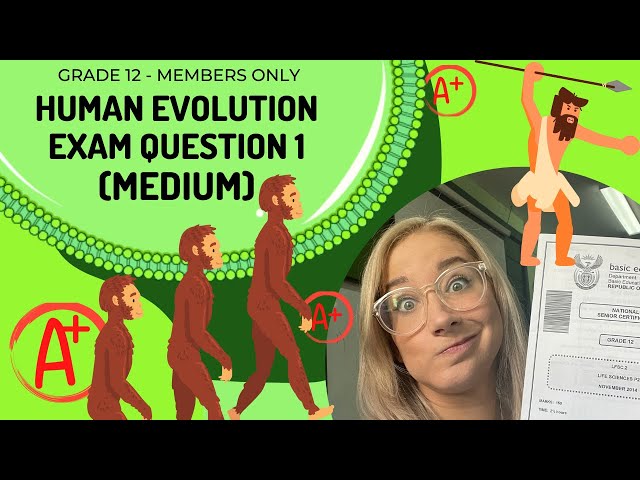 HUMAN EVOLUTION EXAM Q1 (MEDIUM)