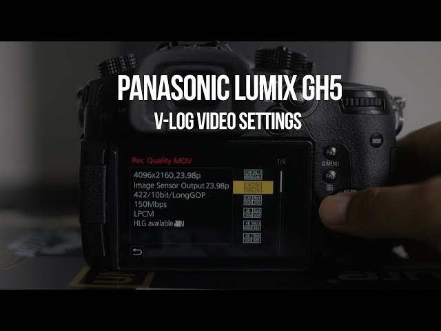 Panasonic GH5 Video Settings for Music Videos