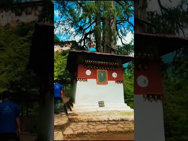 Beauty of Bhutan house and environment #trending #song #bhutan #viralvideo #youtubeshorts #shortfeed