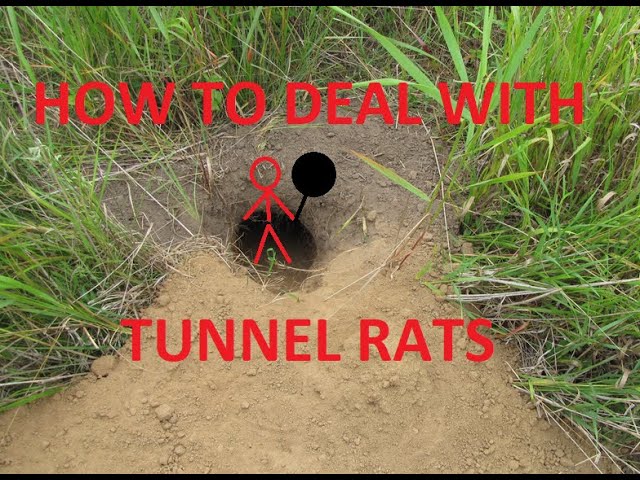 PUBG: How to Deal with TUNNEL RATS