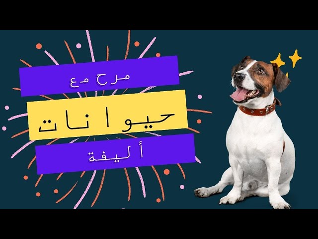 ابتسامات مضمونة! 😄🐾 لحظات طريفة للحيوانات #ضحك #مرح