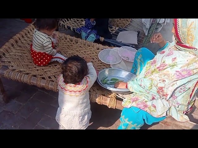 Khadija ko bukhar hogya safia village vlog