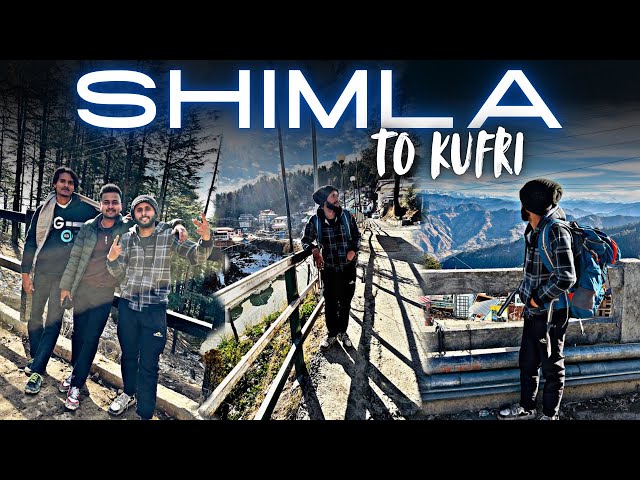 Shimla To Kufri | Kufri Snowfall Update January ☃️🌨️🏔️ - Way Of Shimla