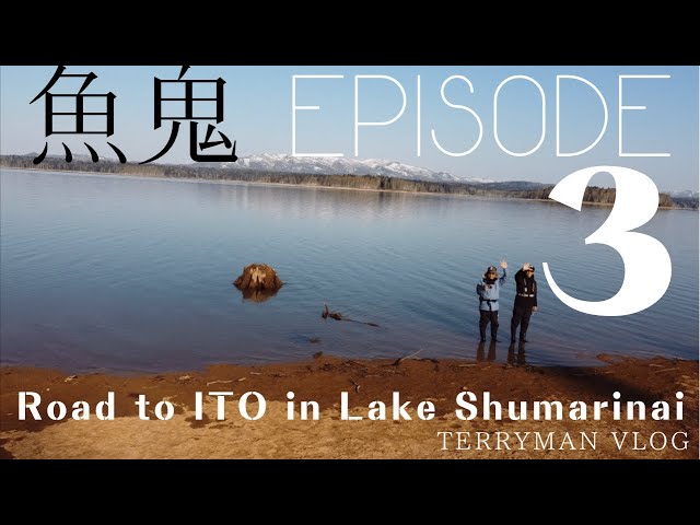 【旅と釣り 北海道へ　幻の魚 魚鬼(イトウ)を求めて】Road to ITO in Lake Shumarinai【episode.3 イトウに遭遇】