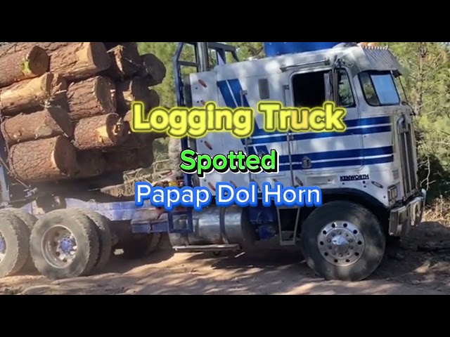 A  Logging Trucking with nhay3pro, #trending #virals #short #trucking #viralvideo #short