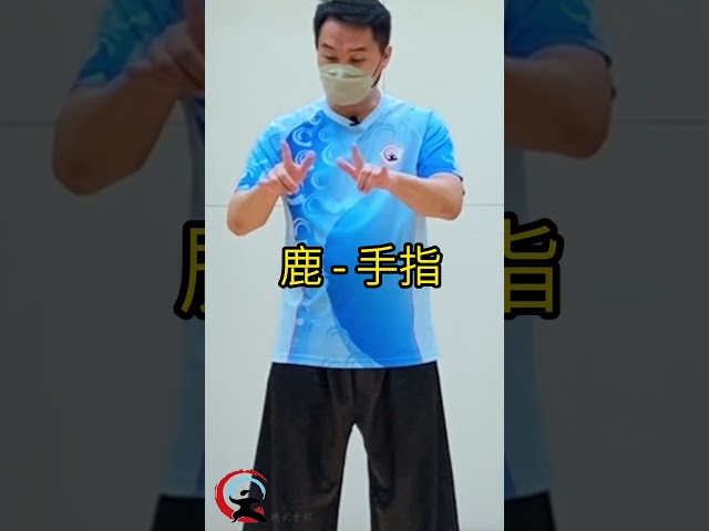 【五禽戲 】✅ vs ❌  5手型正確 / 錯誤動作示範  | 靈魂在於手型｜#華佗 #五禽戲