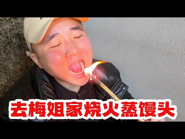 去梅姐家烧火蒸包子，给孩子买公鸡当宠物养