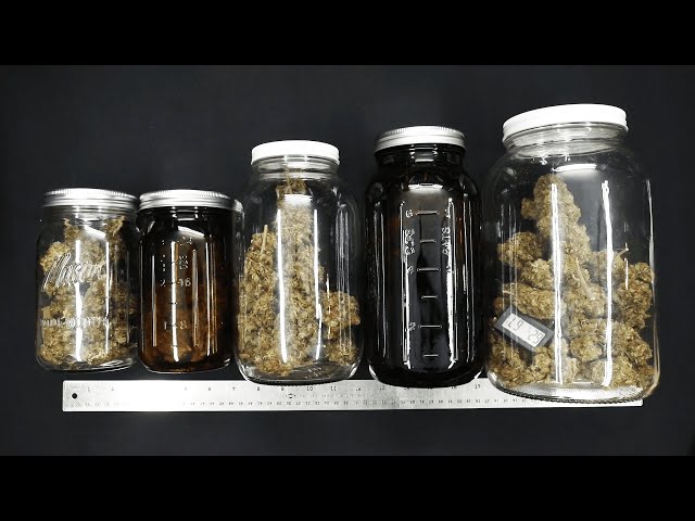 Best Mason Jar for Curing Storing Buds Weed Marijuana Flower and Cannabis