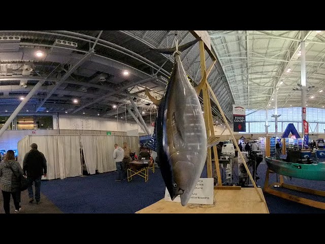 2025 Discover Boating New England Boat Show Boston Insta360 X4 Active HDR