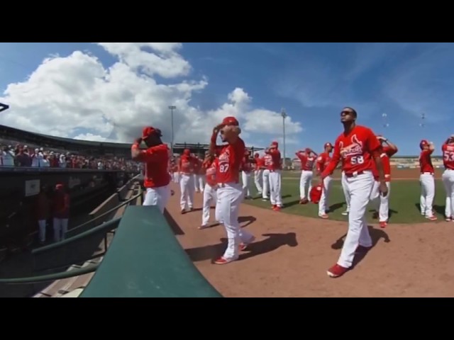 360 of the  St. Louis Cardinals at Spring Training