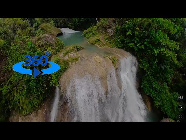 Melody of Nature: Birds Singing by a Waterfall in the Pristine Rainforest | VR360 PLV.