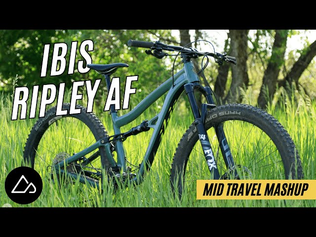 Ibis Ripley AF Trail Bike Review: Capable Descender and Excellent Value [Mid-Travel Mashup]