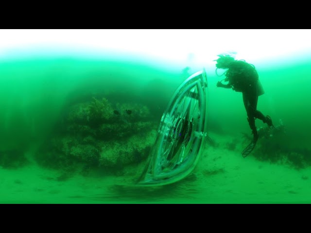 Lima island dive raw