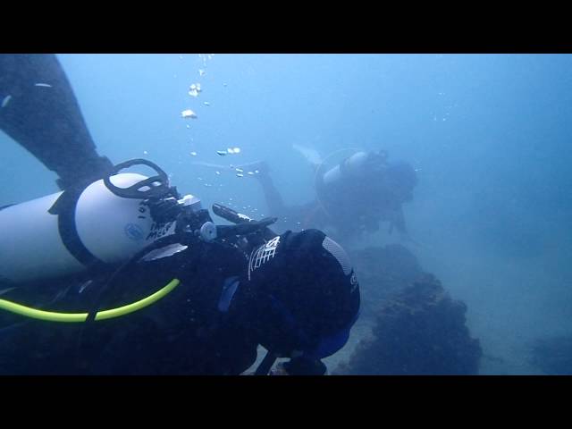 diving - 2016-08-20 - tweed river drift