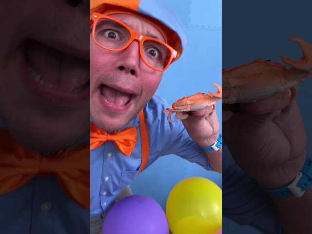 Did someone ask to pop the balloon? What about Sink and Float?  #blippi #shorts