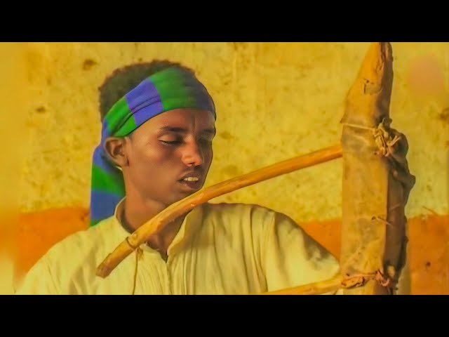 Alay Asgedom ft Terhas Feshale Seyti Harestay Eritrean Music